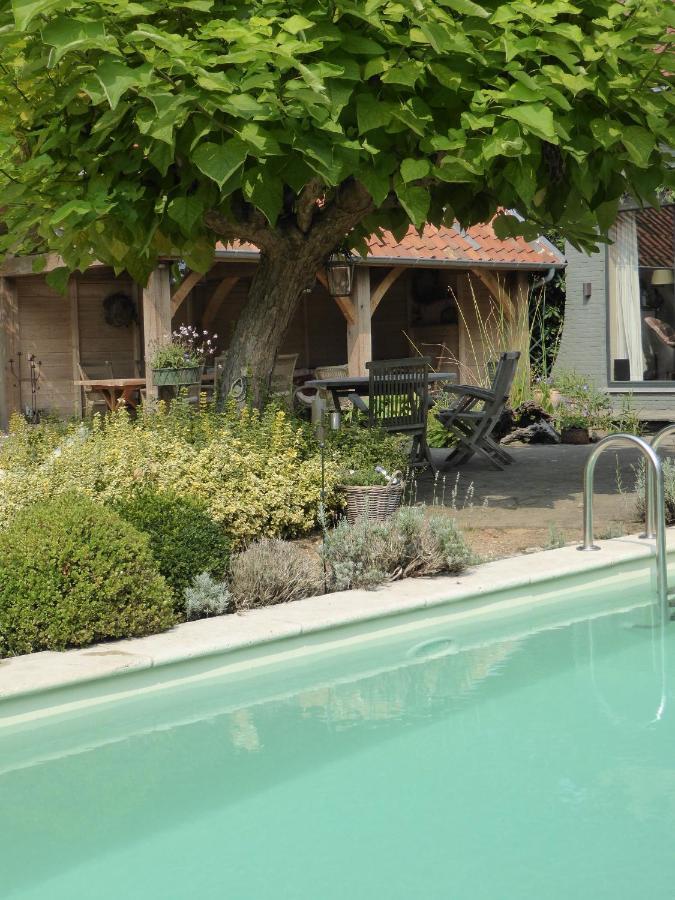 De Epicurist Bed & Breakfast Hasselt Eksteriør bilde